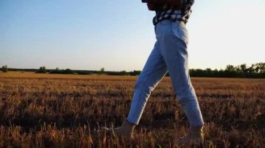 Gün batımında buğday çayırlarında dolaşırken dijital tablet kullanan dişi tarım uzmanı. Çiftçi arpa tarlasında yürürken hasatı izliyor. Güzel manzara manzarası. Tarım sektörü kavramı.