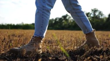 Çiftçinin dişi ayakları gün batımında buğday çayırlarında geziniyor. Alacakaranlıkta arpa tarlasında yürüyen çizmeli ziraat yanlısı bacaklar. Tarım sektörü kavramı. Yavaş çekim