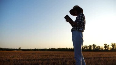 Günbatımında buğday çayırında dijital tablet kullanan dişi tarım uzmanı. Çiftçi gün batımında arpa tarlasında hasat izliyor. Güzel manzara manzarası. Tarım sektörü kavramı. Yavaş çekim