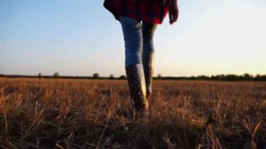 Gün batımında arpa tarlasından geçen genç çiftçinin dişi ayakları. Tarım yanlısı çizmeli bacaklar alacakaranlıkta buğday çayırlarında yürüyor. Tarım sektörü kavramı. Yavaş çekim