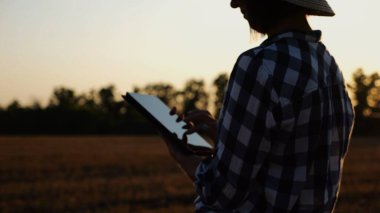 Günbatımında buğday çayırında dijital tablet kullanan dişi tarım uzmanı. Çiftçi gün batımında arpa tarlasında hasat izliyor. Güzel manzara manzarası. Tarım sektörü kavramı. Yavaş çekim