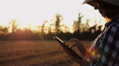 Günbatımında buğday çayırında dijital tablet kullanan dişi tarım uzmanı. Çiftçi gün batımında arpa tarlasında hasat izliyor. Güzel manzara manzarası. Tarım sektörü kavramı. Yavaş çekim