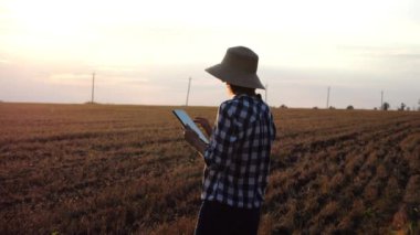 Günbatımında buğday çayırında dijital tablet kullanan dişi tarım uzmanı. Hasır şapkalı yetişkin çiftçi gün batımında arpa tarlasında hasat izliyor. Güzel manzara manzarası. Tarım sektörü kavramı.