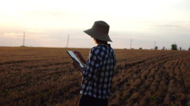 Günbatımında buğday çayırında dijital tablet kullanan dişi tarım uzmanı. Hasır şapkalı yetişkin çiftçi gün batımında arpa tarlasında hasat izliyor. Güzel manzara manzarası. Tarım sektörü kavramı.