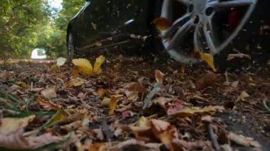 Güçlü elektrikli araba ara sokaktan geçiyor. Siyah elektrikli sedan sarı yapraklar üzerinde boş bir yol boyunca hızlı gidiyor. Otomobil tekerinin altından renkli sonbahar yaprakları uçuyor..
