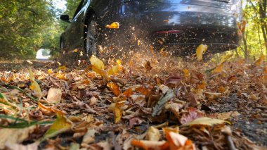 Güçlü elektrikli araba ara sokaktan geçiyor. Siyah elektrikli sedan sarı yapraklar üzerinde boş bir yol boyunca hızlı gidiyor. Otomobil tekerinin altından renkli sonbahar yaprakları uçuyor.