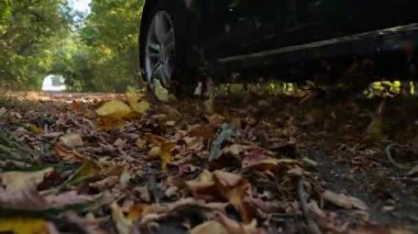 Güçlü elektrikli araba ara sokaktan geçiyor. Siyah elektrikli sedan sarı yapraklar üzerinde boş bir yol boyunca hızlı gidiyor. Otomobil tekerinin altından renkli sonbahar yaprakları uçuyor..