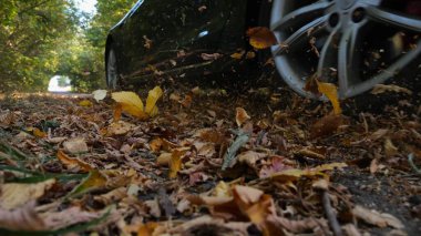 Güçlü elektrikli araba ara sokaktan geçiyor. Siyah elektrikli sedan sarı yapraklar üzerinde boş bir yol boyunca hızlı gidiyor. Otomobil tekerinin altından renkli sonbahar yaprakları uçuyor.