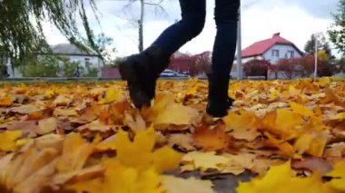 Parkta sarı yapraklara basan genç kadın bacakları. Parkland 'da düşen akçaağaç yapraklarına basan çizmeli bir kadın. Bulutlu bir günde, sonbahar mevsiminde Parkland 'da yürüyen bir kız. Yavaşla.