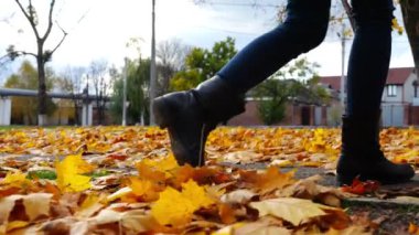Parkta sarı yapraklara basan genç kadın bacakları. Parkland 'da düşen akçaağaç yapraklarına basan çizmeli bir kadın. Bulutlu bir günde, sonbahar mevsiminde Parkland 'da yürüyen bir kız. Yavaşla.