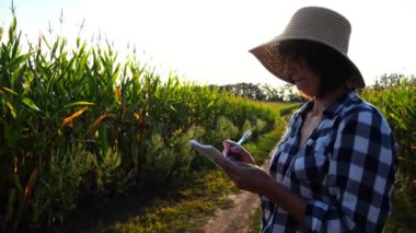 Dişi tarımcı mısır saplarına bakıyor ve deftere veri yazıyor. Hasır şapkalı yetişkin çiftçi gün batımında mısır tarlasına not alıyor. Tarım sektörü kavramı.