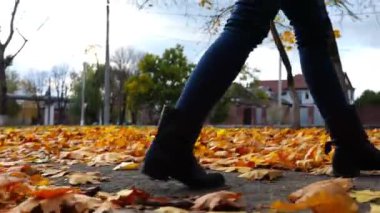 Parkta sarı yapraklara basan genç kadın bacakları. Parkland 'da düşen akçaağaç yapraklarına basan çizmeli bir kadın. Bulutlu bir günde, sonbahar mevsiminde Parkland 'da yürüyen bir kız. Yavaşla.