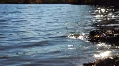 Güneşli bir günde küçük dalgalarla gölü seyret. Yaz mevsiminde göletin sakin manzarası. Güzel doğa manzarası. Huzur sahnesi kavramı. Yavaş çekim