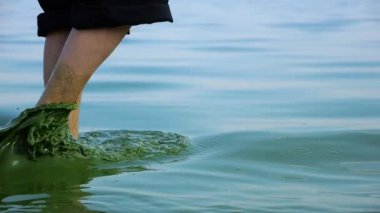 Kirlenmiş yeşil sudaki yetişkin kadın bacakları atıktan nehre. Kirli deniz suyunda yürüyen kadın ayakları. Küresel çevre kirliliği sorunu. Ekolojik felaket kavramı. Yavaş çekim