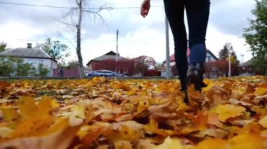 Parkta sarı yapraklara basan genç kadın bacakları. Parkland 'da düşen akçaağaç yapraklarına basan çizmeli bir kadın. Bulutlu bir günde, sonbahar mevsiminde Parkland 'da yürüyen bir kız. Yavaşla.