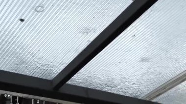 Şeffaf pleksiglas çatıda şiddetli yağmur davul çalıyor. Yaz gününde güzel yağmurlu bir manzara. Huzur doğa sahnesi kavramı. Yavaşla.