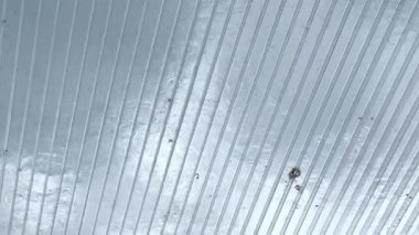 Şeffaf pleksiglas çatıda şiddetli yağmur davul çalıyor. Yaz gününde güzel yağmurlu bir manzara. Huzur doğa sahnesi kavramı. Yavaşla.