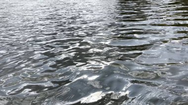 Yazın güneşle aydınlatılan göletin manzara yüzeyi. Güneşli bir günde deniz manzarası ve küçük dalgalar. Güzel yaz doğa manzarası. Huzur sahnesi kavramı. Yavaş çekim