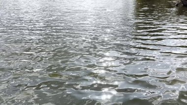 Yazın güneşle aydınlatılan göletin manzara yüzeyi. Güneşli bir günde deniz manzarası ve küçük dalgalar. Güzel yaz doğa manzarası. Huzur sahnesi kavramı. Yavaş çekim