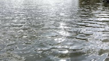 Yazın güneşle aydınlatılan göletin manzara yüzeyi. Güneşli bir günde deniz manzarası ve küçük dalgalar. Güzel yaz doğa manzarası. Huzur sahnesi kavramı. Yavaş çekim