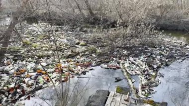Kirli nehir birçok plastik şişeyle kirlidir. Pek çok çöp doğadaki açık ve serbestçe ulaşılabilir yerlere atılır. Küresel çevre kirliliği sorunu. Ekolojik felaket kavramı.