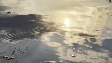 Gün batımında parlak güneşle aydınlatılan deniz manzarası. Yazın göl manzarası ve küçük dalgalar. Güzel yaz doğa manzarası. Huzur sahnesi kavramı. Yavaş çekim