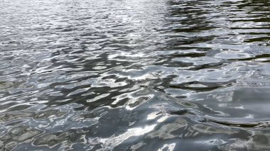 Yazın güneşle aydınlatılan göletin manzara yüzeyi. Güneşli bir günde deniz manzarası ve küçük dalgalar. Güzel yaz doğa manzarası. Huzur sahnesi kavramı. Yavaş çekim