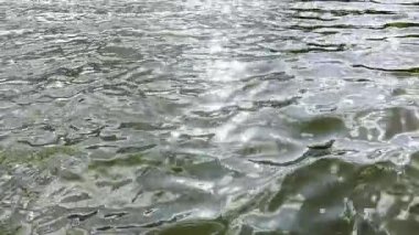 Yazın güneşle aydınlatılan göletin manzara yüzeyi. Güneşli bir günde deniz manzarası ve küçük dalgalar. Güzel yaz doğa manzarası. Huzur sahnesi kavramı. Yavaş çekim