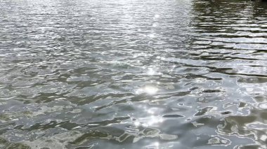 Yazın güneşle aydınlatılan göletin manzara yüzeyi. Güneşli bir günde deniz manzarası ve küçük dalgalar. Güzel yaz doğa manzarası. Huzur sahnesi kavramı. Yavaş çekim