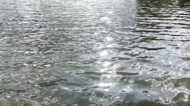 Yazın güneşle aydınlatılan göletin manzara yüzeyi. Güneşli bir günde deniz manzarası ve küçük dalgalar. Güzel yaz doğa manzarası. Huzur sahnesi kavramı. Yavaş çekim