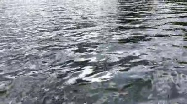 Yazın güneşle aydınlatılan göletin manzara yüzeyi. Güneşli bir günde deniz manzarası ve küçük dalgalar. Güzel yaz doğa manzarası. Huzur sahnesi kavramı. Yavaş çekim
