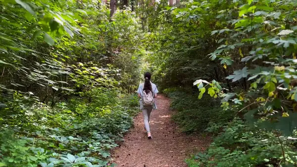 Genç bir kadın yaz ormanında patika boyunca gidiyor. Sırt çantalı bir kadın vahşi doğada patikaların arasında yürüyor. Tanınmayan bir kız dışarıda gezmekten zevk alıyor. Manzaraya hayran kalıyor. Kapat.