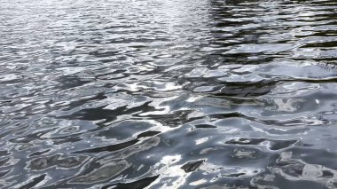 Yazın güneşle aydınlatılan göletin manzara yüzeyi. Güneşli bir günde deniz manzarası ve küçük dalgalar. Güzel yaz doğa manzarası. Huzur sahnesi kavramı. Yavaş çekim