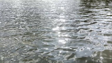 Yazın güneşle aydınlatılan göletin manzara yüzeyi. Güneşli bir günde deniz manzarası ve küçük dalgalar. Güzel yaz doğa manzarası. Huzur sahnesi kavramı. Yavaş çekim