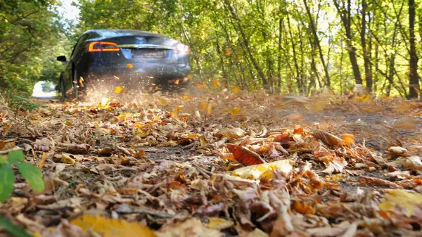 Siyah elektrikli sedan sarı yapraklar üzerinde boş bir yol boyunca hızlı gidiyor. Güçlü elektrikli araba ara sokaktan geçiyor. Otomobil tekerinin altından renkli sonbahar yaprakları uçuyor..