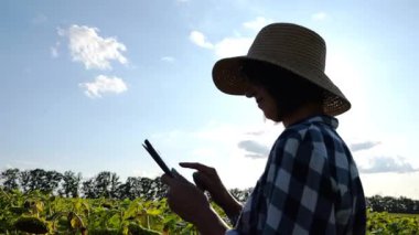 Güneşli bir günde ayçiçeği çayırında dijital tablet kullanan dişi tarım uzmanı. Yetişkin çiftçi gün batımında sarı çiçek tarlasında hasat izliyor. Güzel manzara manzarası. Tarım sektörü kavramı.