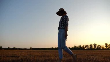 Alacakaranlıkta arpa tarlasında yürüyen hasır şapkalı yetişkin tarım uzmanı. Dişi çiftçi gün batımında buğday çayırından geçiyor. Güzel manzara manzarası. Tarım sektörü kavramı. Yavaş çekim