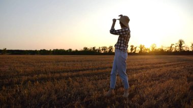Hasır şapkalı yetişkin tarım uzmanı gün batımında çayırda arpa arıyor. Alacakaranlıkta olgun buğdayı inceleyen dişi çiftçi. Güzel manzara manzarası. Tarım ve tarım sektörü kavramı.