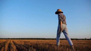 Alacakaranlıkta arpa tarlasında yürüyen hasır şapkalı yetişkin tarım uzmanı. Dişi çiftçi gün batımında buğday çayırından geçiyor. Güzel manzara manzarası. Tarım sektörü kavramı. Yavaş çekim