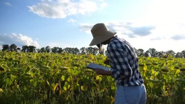 Güneşli bir günde ayçiçeği çayırında dijital tablet kullanan dişi tarım uzmanı. Yetişkin çiftçi gün batımında sarı çiçek tarlasında hasat izliyor. Güzel manzara manzarası. Tarım sektörü kavramı.