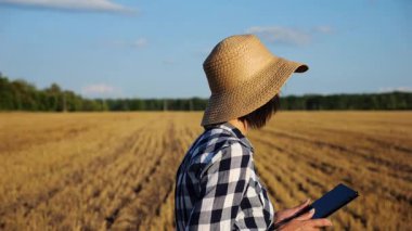Dişi çiftçi buğday çayırlarında dolaşırken dijital tablet kullanır. Hasır şapkalı yetişkin tarım uzmanları arpa tarlalarının arasında yürürken hasat topluyor. Tarım ve tarım sektörü kavramı.