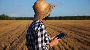 Dişi çiftçi buğday çayırlarında dolaşırken dijital tablet kullanır. Hasır şapkalı yetişkin tarım uzmanları arpa tarlalarının arasında yürürken hasat topluyor. Tarım ve tarım sektörü kavramı.