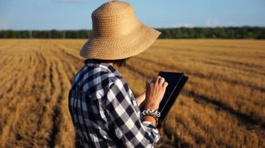 Yetişkin çiftçi güneşli bir günde buğday çayırında dijital tablet kullanıyor. Kadın tarım uzmanı arpa tarlasında hasat gözlemliyor. Güzel manzara manzarası. Tarım sektörü kavramı. Yavaş çekim