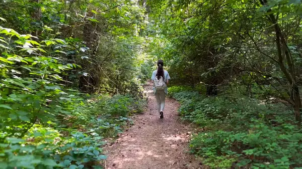 Genç bir kadın yaz ormanında patika boyunca gidiyor. Sırt çantalı bir kadın vahşi doğada patikaların arasında yürüyor. Tanınmayan bir kız dışarıda gezmekten zevk alıyor. Manzaraya hayran kalıyor. Kapat.
