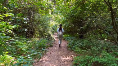 Genç bir kadın yaz ormanında patika boyunca gidiyor. Sırt çantalı bir kadın vahşi doğada patikaların arasında yürüyor. Tanınmayan bir kız dışarıda gezmekten zevk alıyor. Manzaraya hayran kalıyor. Kapat.