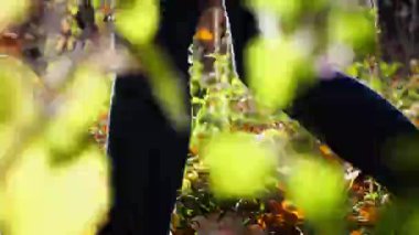 Düşük görüşlü, kadın ayaklı, kurumuş yaprakların üzerinde iz süren. Genç bayanın bacakları dışarı doğru adım atıyor. Güneşli bir sonbahar gününde doğada yürüyen bir kız. Yavaş çekim