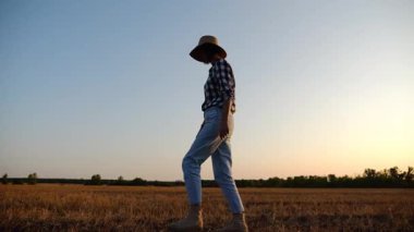 Alacakaranlıkta arpa tarlasında yürüyen hasır şapkalı yetişkin tarım uzmanı. Dişi çiftçi gün batımında buğday çayırından geçiyor. Güzel manzara manzarası. Tarım sektörü kavramı. Yavaş çekim