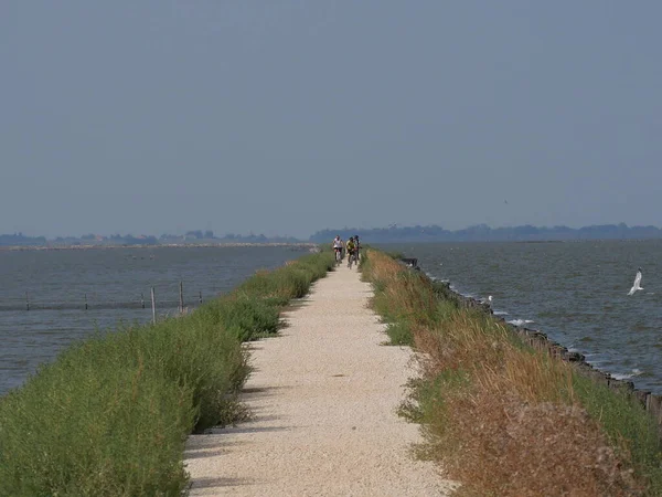 cyclists along the dirt cycle path on an embankment through Comacchio lagoons in the Po Delta Park