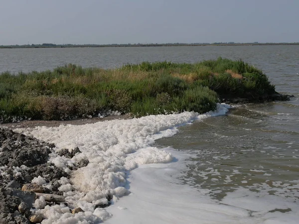 foamy brackish waters along the dirt cycle path on an embankment through Comacchio lagoons in the Po Delta Park