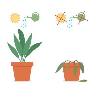 A potted houseplant being cared for and a potted houseplant dying without care or watering. Vector illustration.. clipart